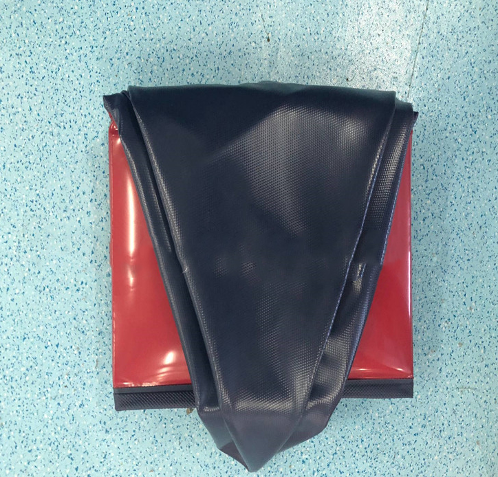 Swimming Pool Hunde
