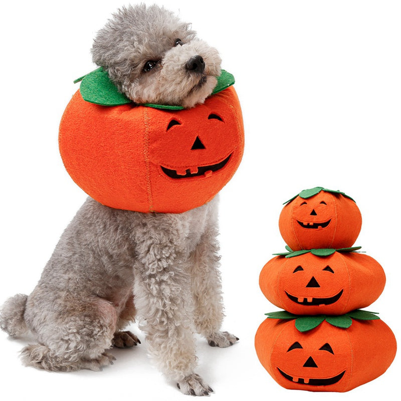 Halloween Kostüm