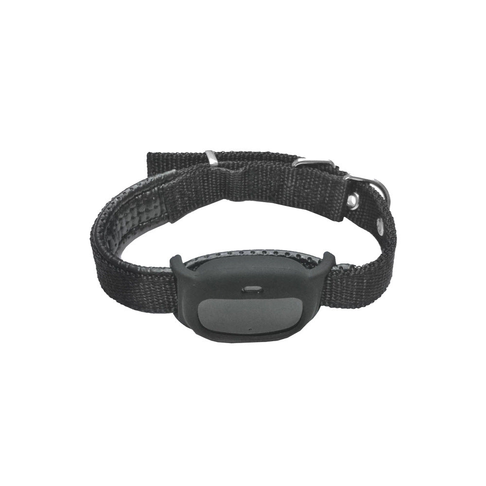 Halsband mit Ortungsfunktion