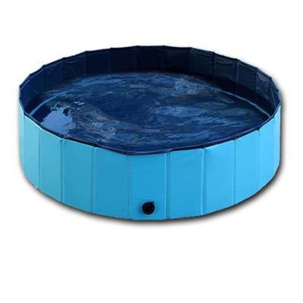 Swimming Pool Hunde