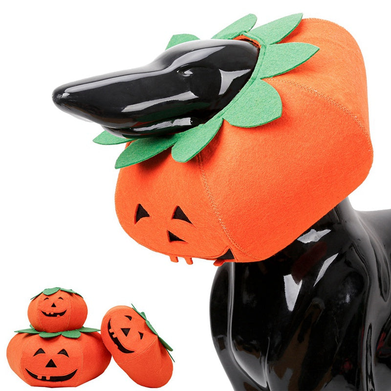 Halloween Kostüm