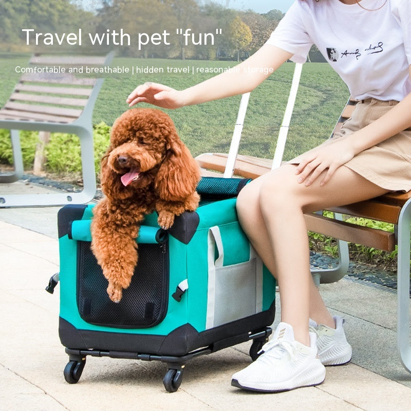 Trolleytasche für Hunde