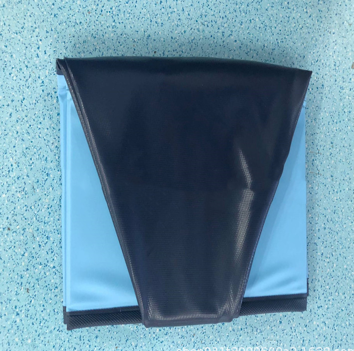 Swimming Pool Hunde