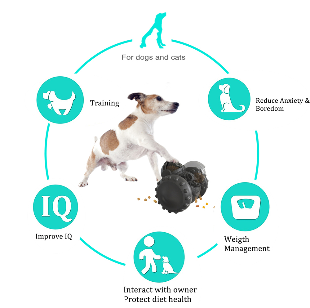 Multifunktionales, Pet Feed Toy