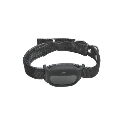 Halsband mit Ortungsfunktion