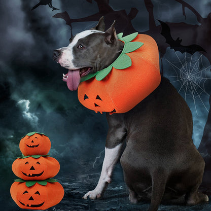 Halloween Kostüm