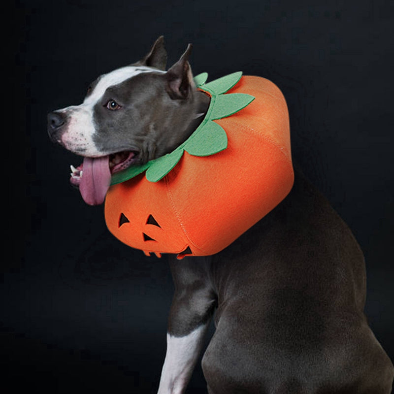 Halloween Kostüm
