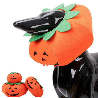 Halloween Kostüm