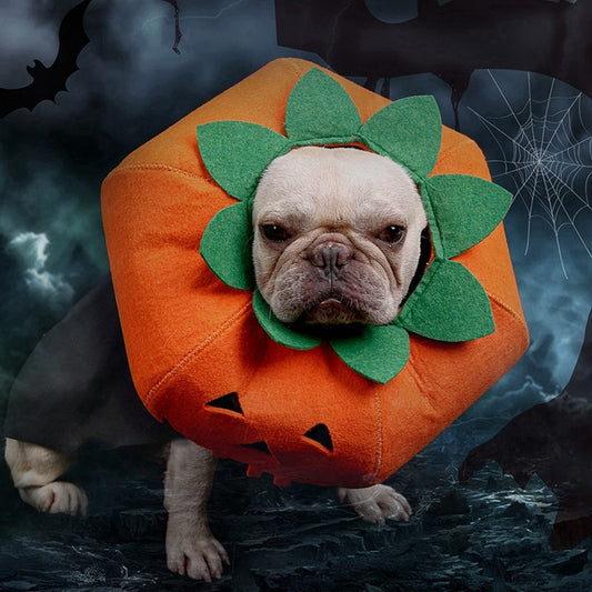 Halloween Kostüm