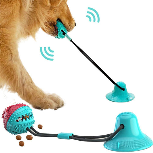 Hundespielzeug, Saugnapf-Zug mit Futterausgabe