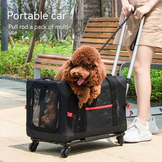 Trolleytasche für Hunde
